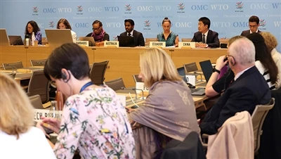 WTO prüft auf Antrag Chinas US-Steuergutschriften im Rahmen des Inflation Red...