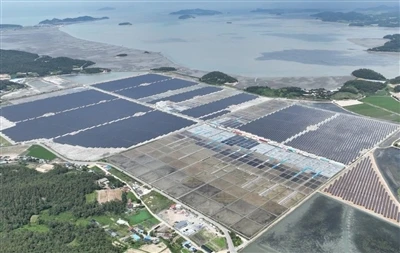 Südkorea startet 1 GW Solar -Tender mit strengeren Kohlenstoffstandards und n...